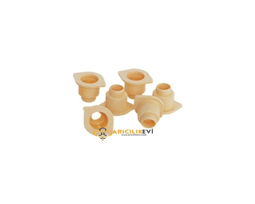 Ana Arı Yüksük Gövdesi - Larva Gözü Üst