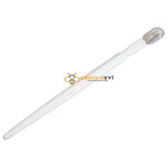 Arı Sütü Toplama Kaşığı